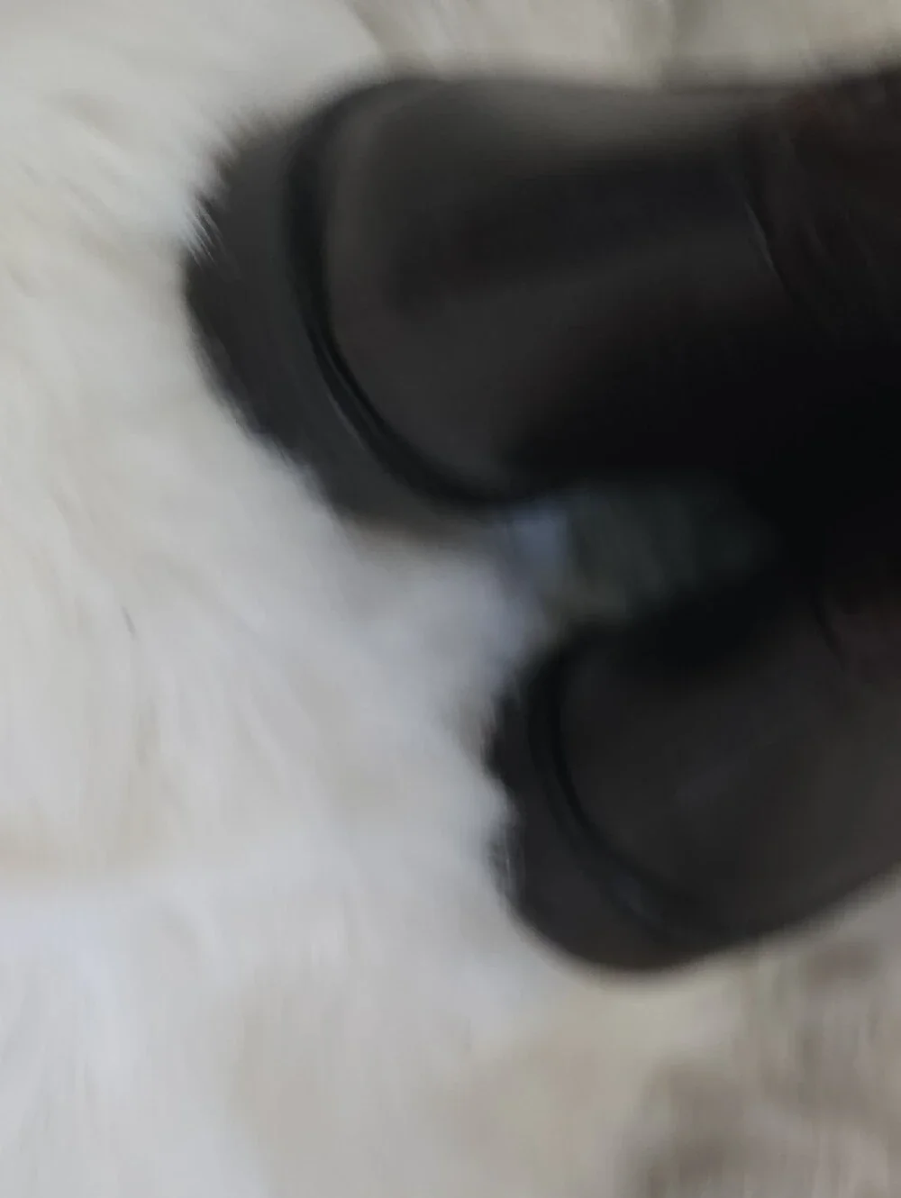 Gianni Bini ​Style: Women's Tall / Knee-High Riding Boots with Side Floral/Paisl